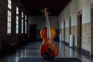 Violín edición especial guarneri del gesu luthier galicia vicente martin